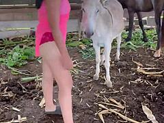 Mature Mexican women take turns riding a donkey