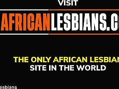 Afrikalı güzellik ev yapımı videoda yalatılıyor ve parmaklanıyor